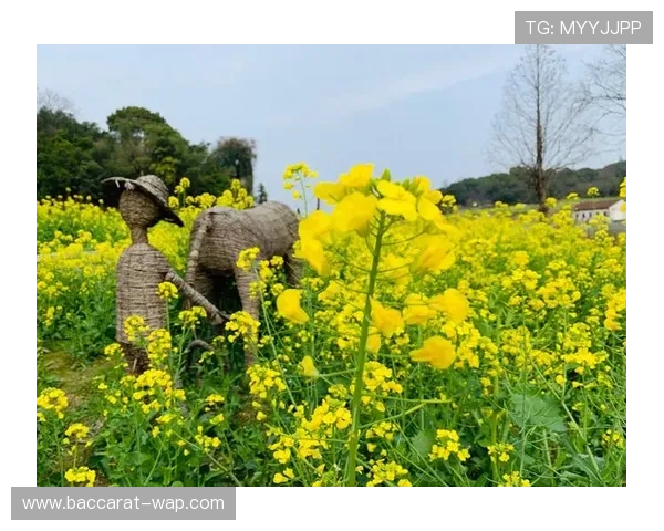 井山地区自然与人文景观融合发展探索及其影响因素分析